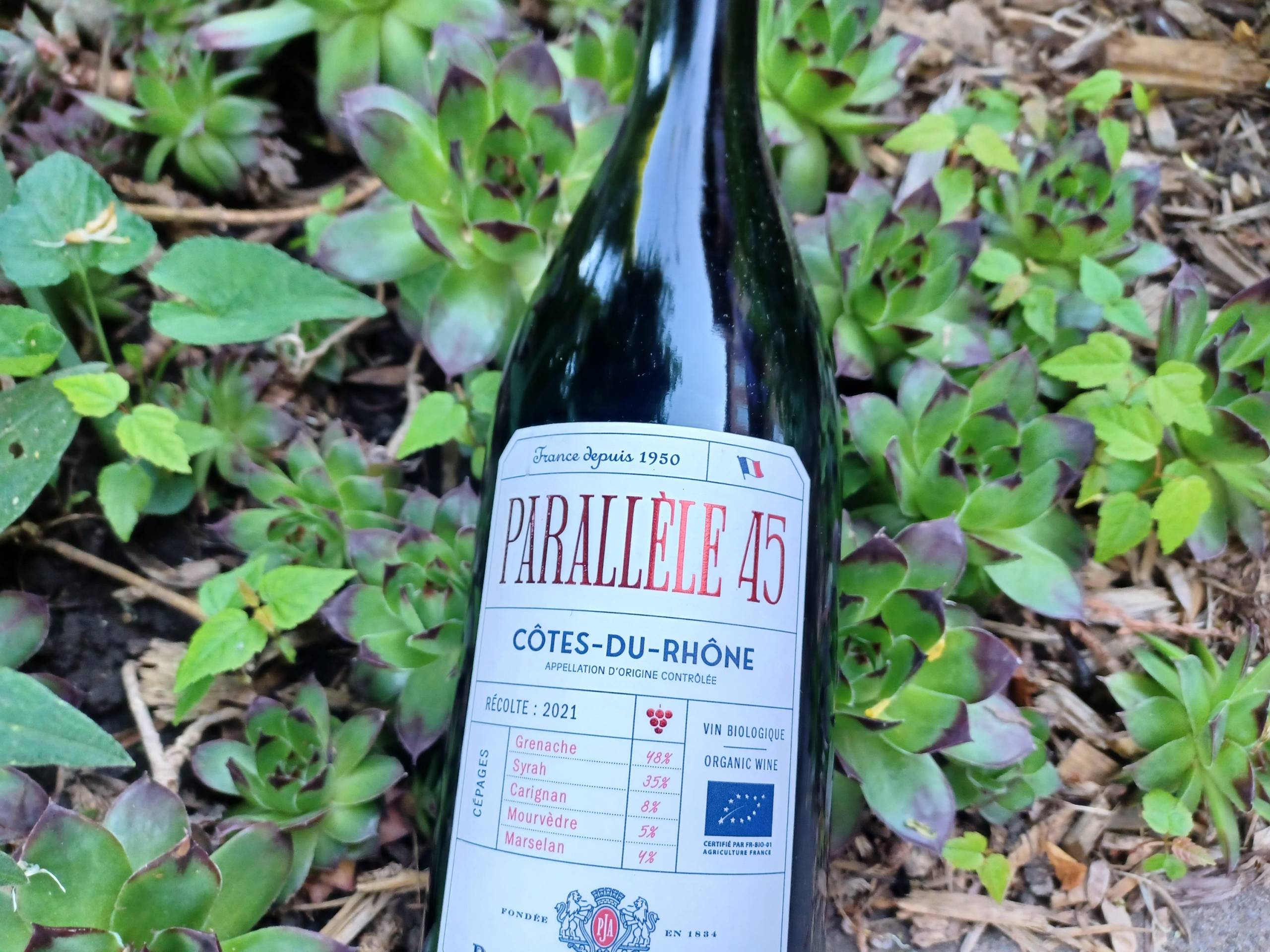 Quand un faucon s&rsquo;installe à ta fenêtre!