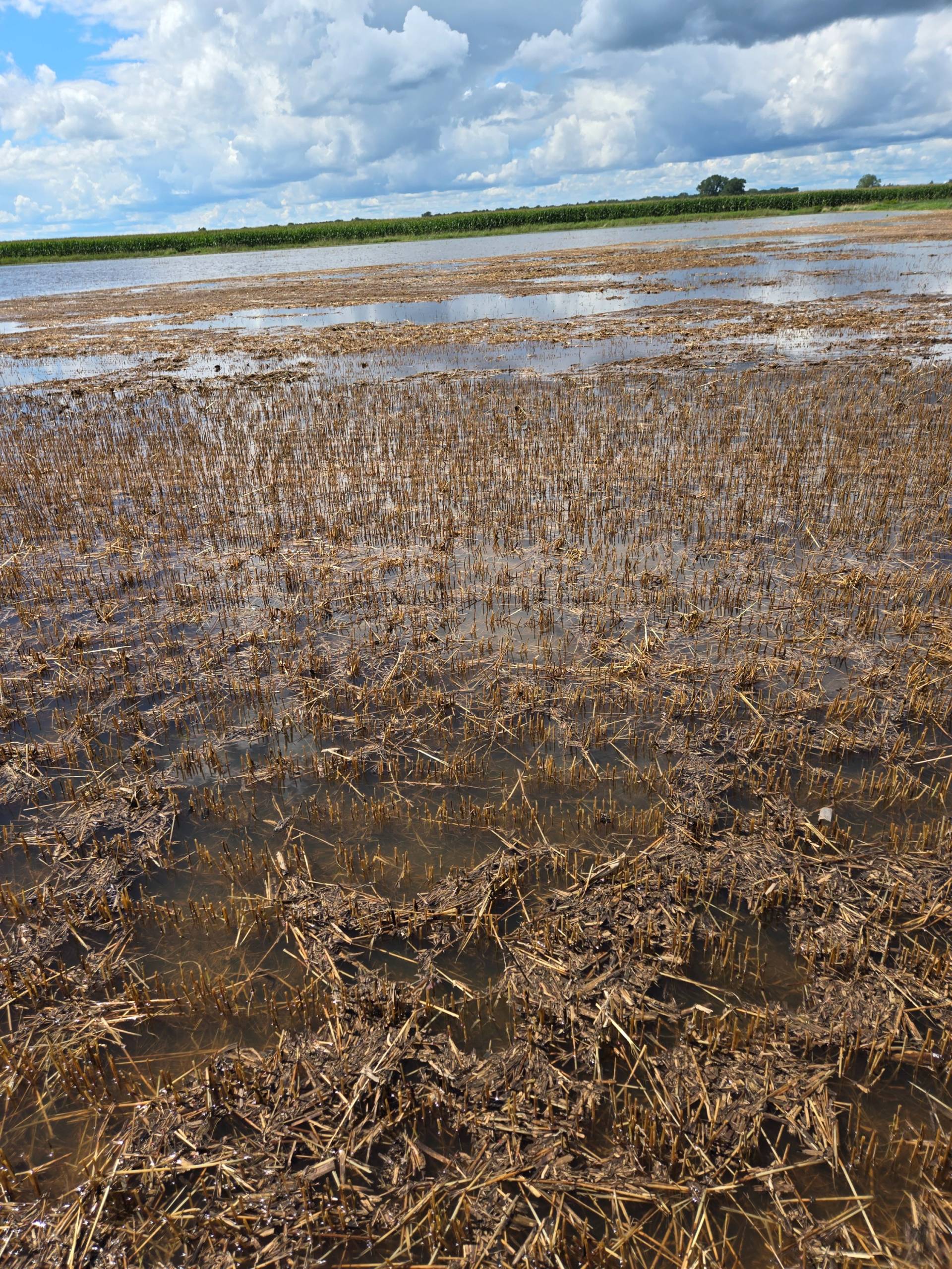 Un anti virus pour se protéger contre les fraudes bancaires