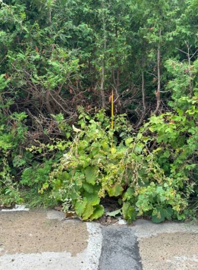 Restauration complète d&rsquo;une Ferrari 360 Moderna