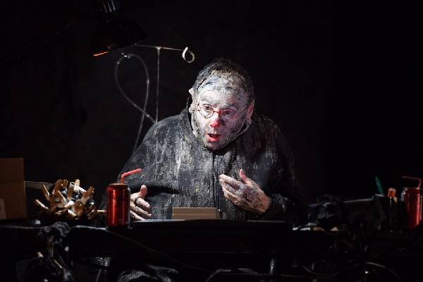 Le chat observe les oiseaux dans le jardin