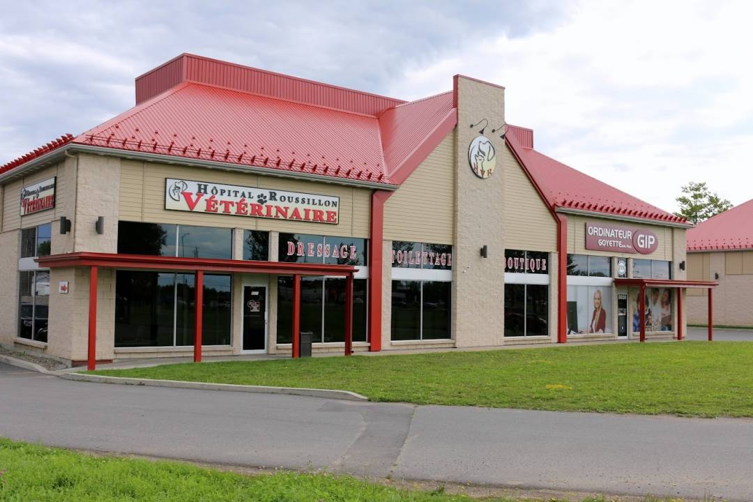 Cette artiste fait des oeuvres magnifiques avec de vieux jeans