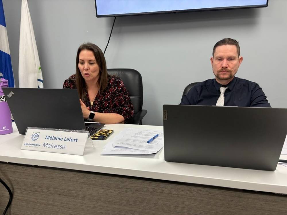 Les cerfs savent comment utiliser les passages pour piétons en toute sécurité