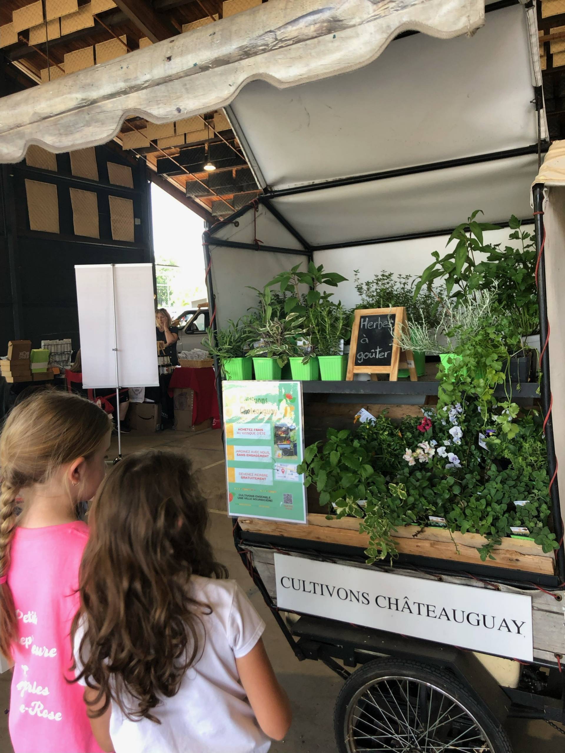 Ces ciseaux électriques sont parfaits pour les boîtes de carton