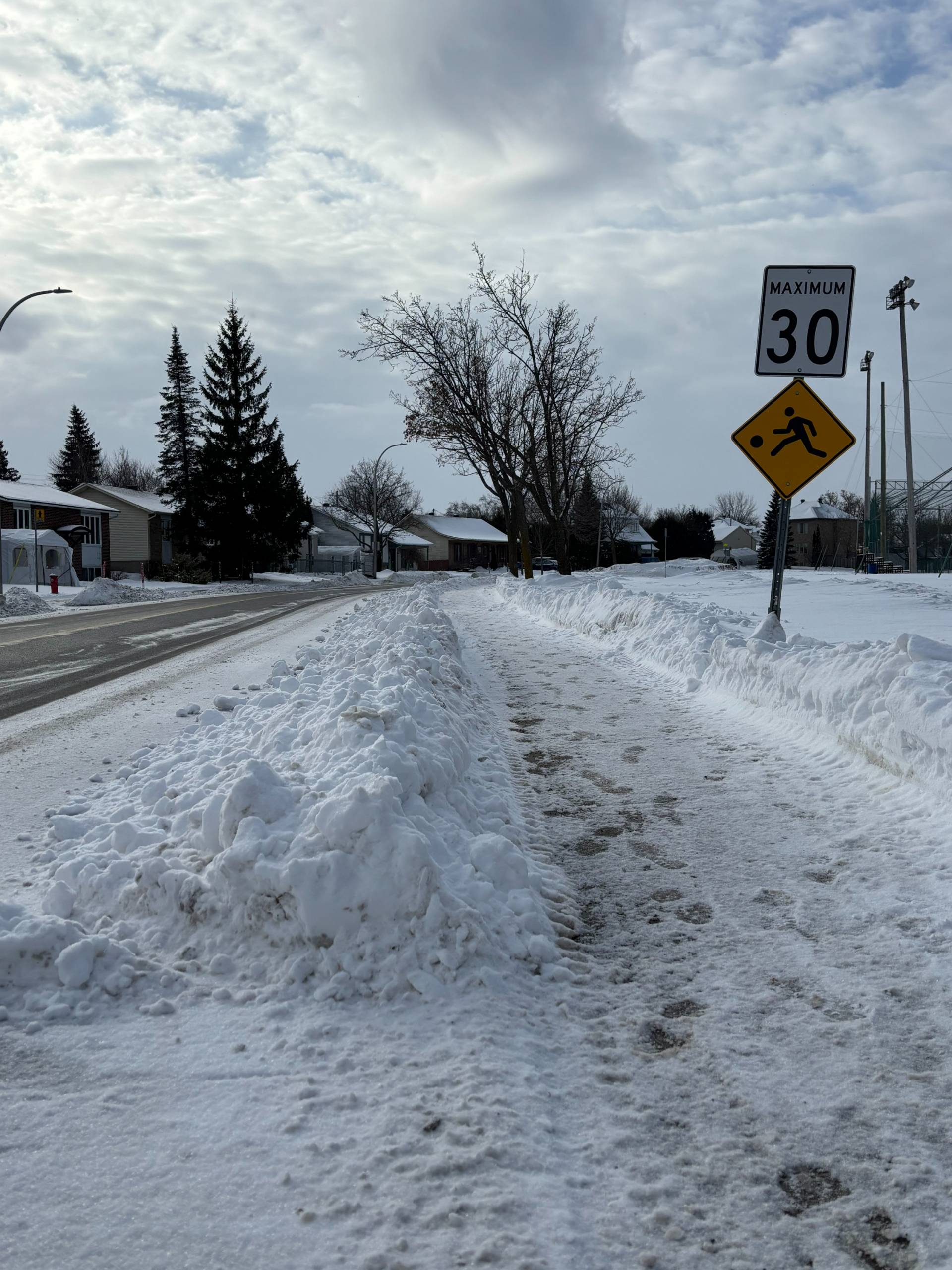 Bébé opossum faisant du stop