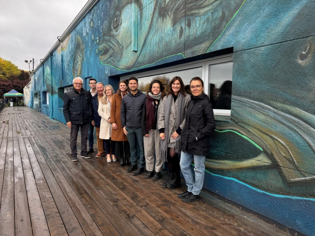 Un circuit de cinq murales à découvrir