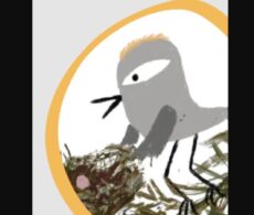 Le plus petit festival d’animation au monde à sa 8e édition