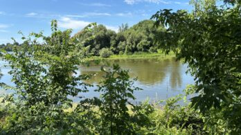 Protection de l’eau souterraine: un guide pour les municipalités