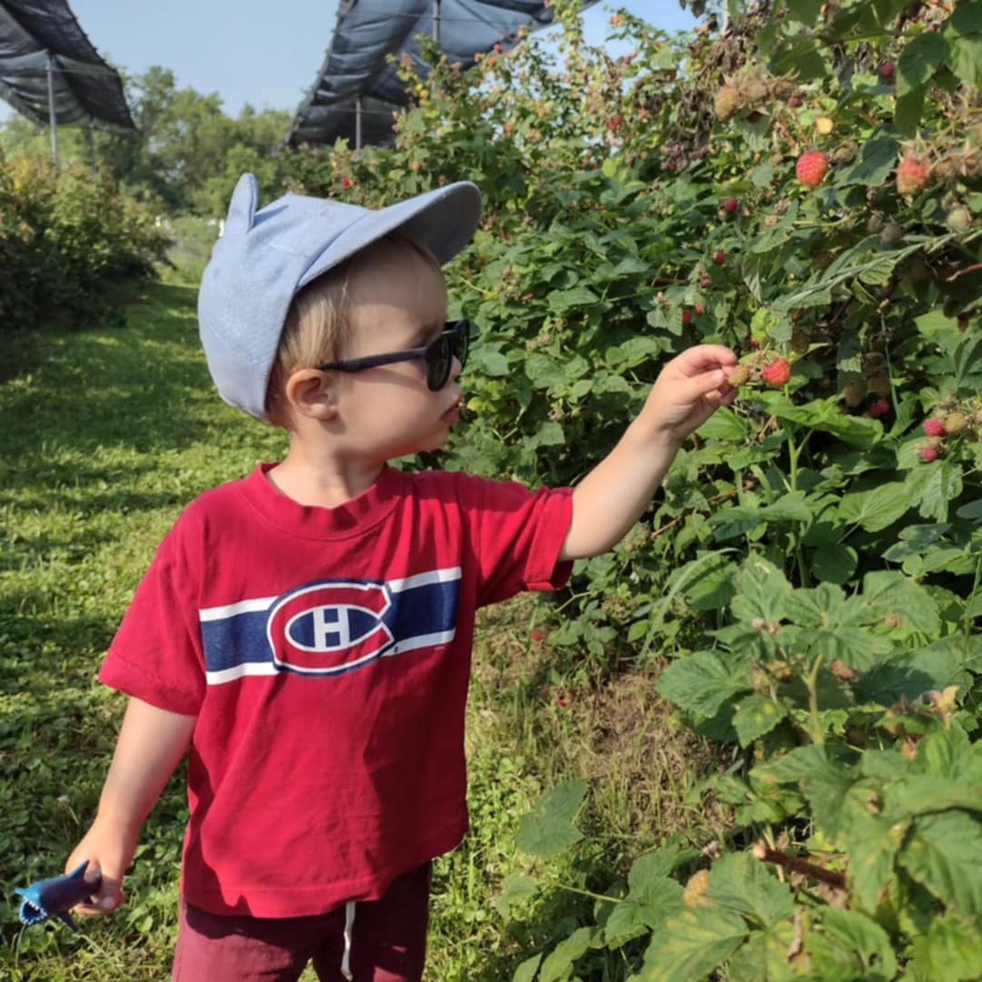 Où faire de l’autocueillette dans la région