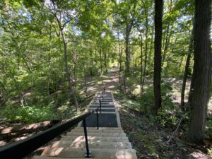 Sept sentiers à explorer sur la Rive-Sud