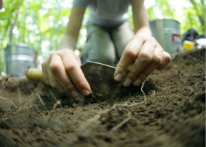 L’archéologie au cœur de Pointe-du-Buisson