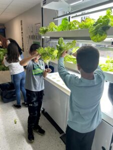 Retour de l’écurie Hearn avec Frédéric Couturier qui gradue en Hydro 350