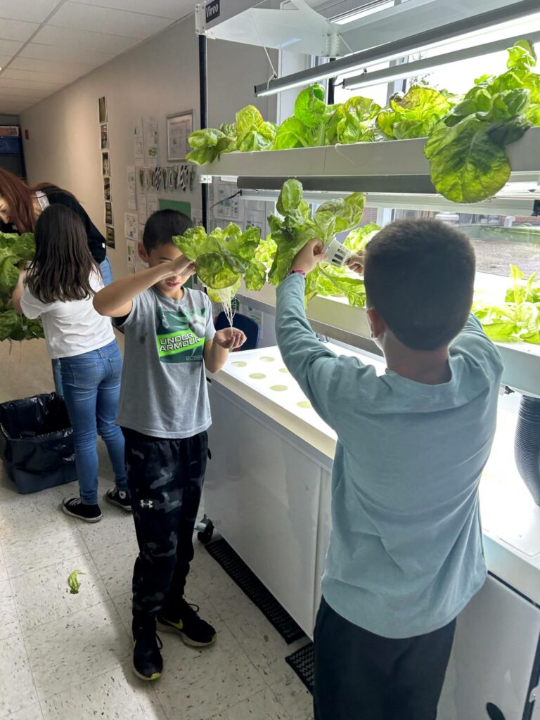 Retour de l’écurie Hearn avec Frédéric Couturier qui gradue en Hydro 350