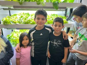 La websérie des Enfants Dumdell maintenant en ligne