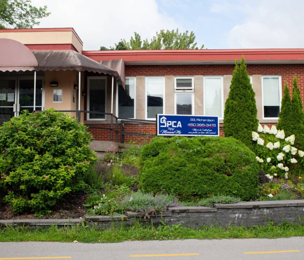Refuge SPCA Monani-mo Beauharnois : libérés des accusations de cruauté animale