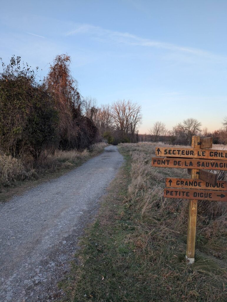 Héritage Saint-Bernard : début des travaux du refuge faunique Marguerite-D’Youville