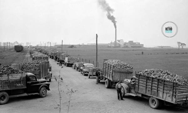 Fouiller dans le « garde-manger du Québec »! 
