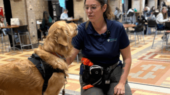 Gaïa, le chien qui vous veut du bien
