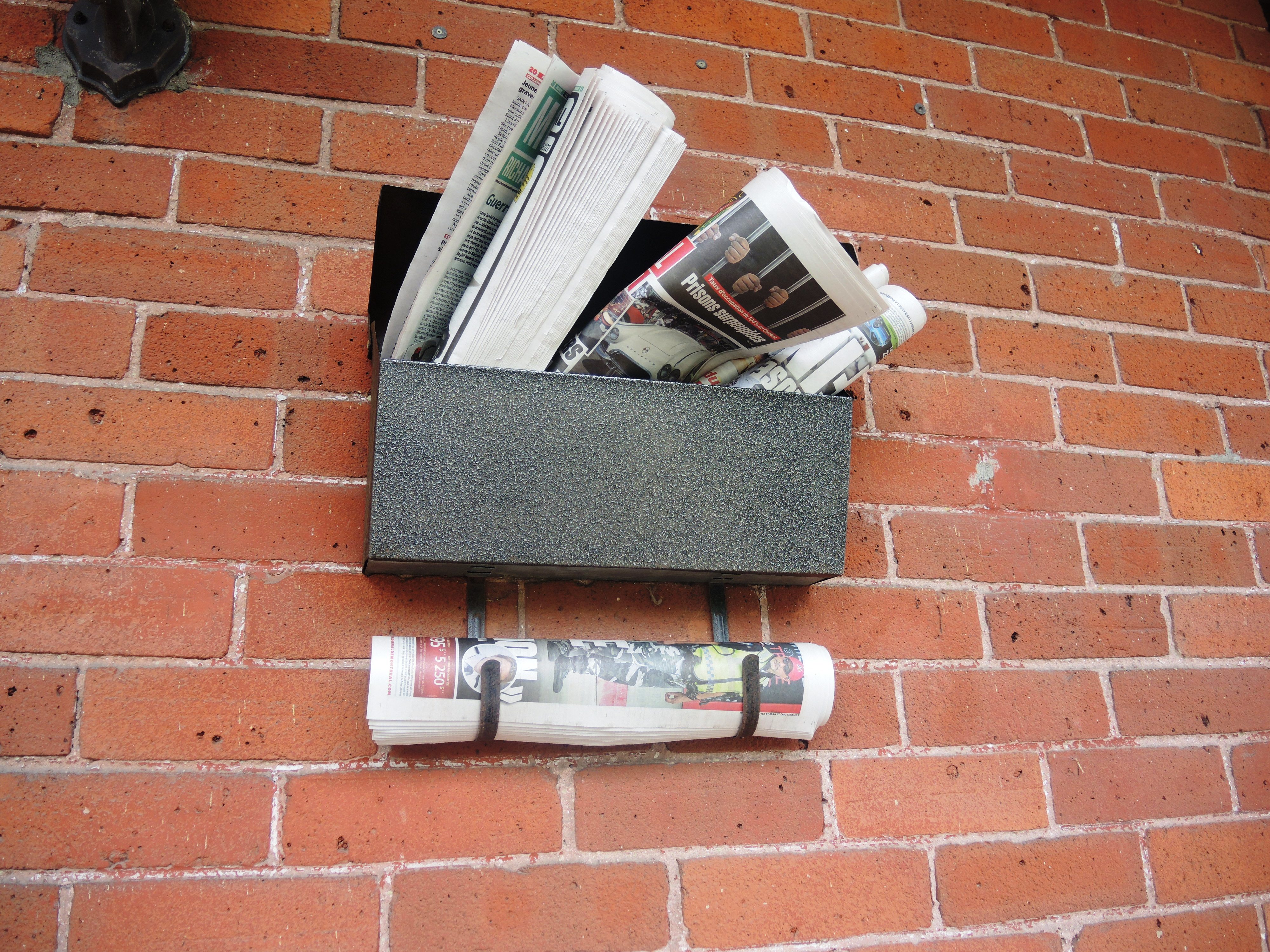 Un camelot aurait sauvé la vie de sa cliente