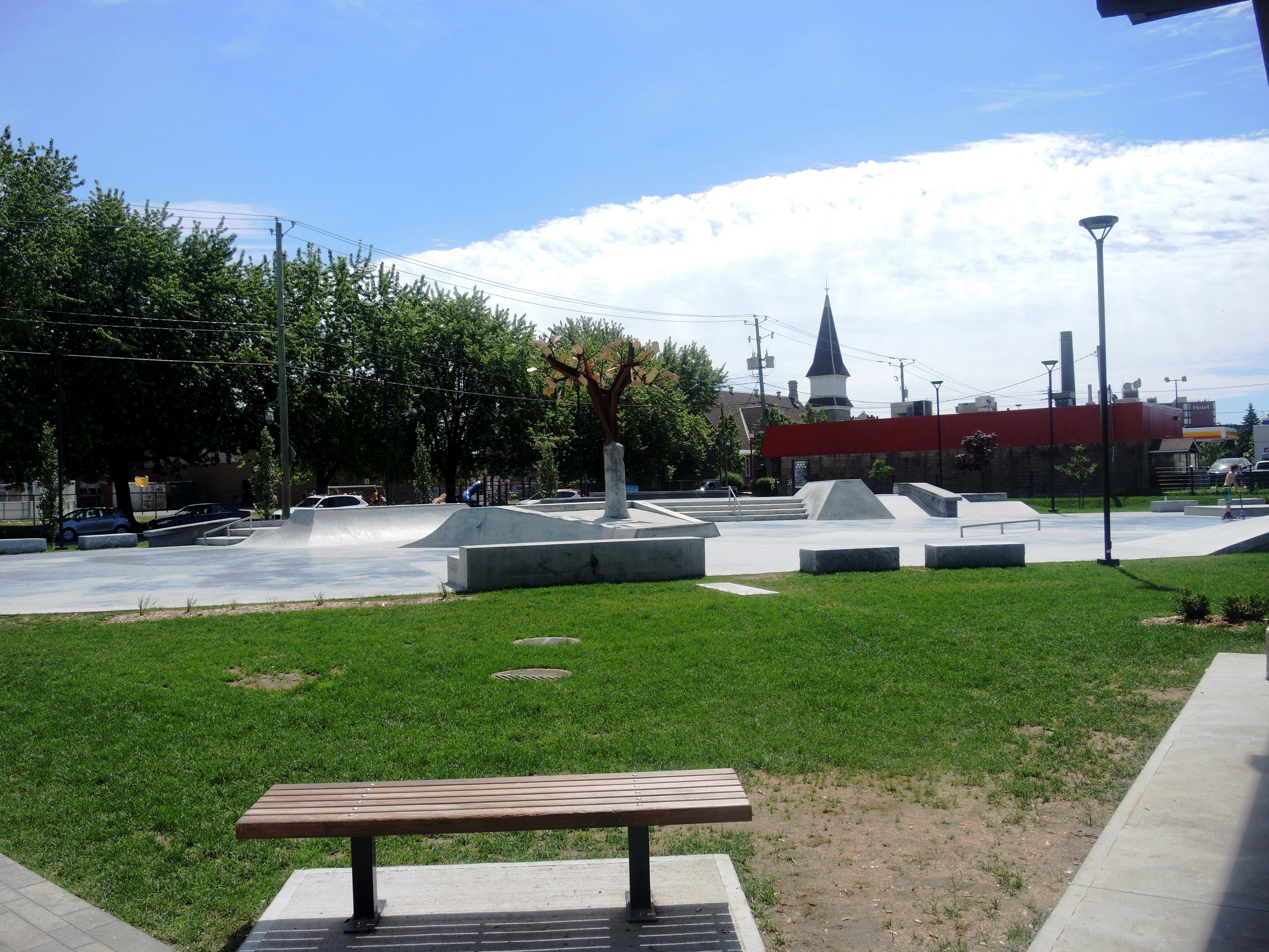 Le «Skatepark» victime de son succès