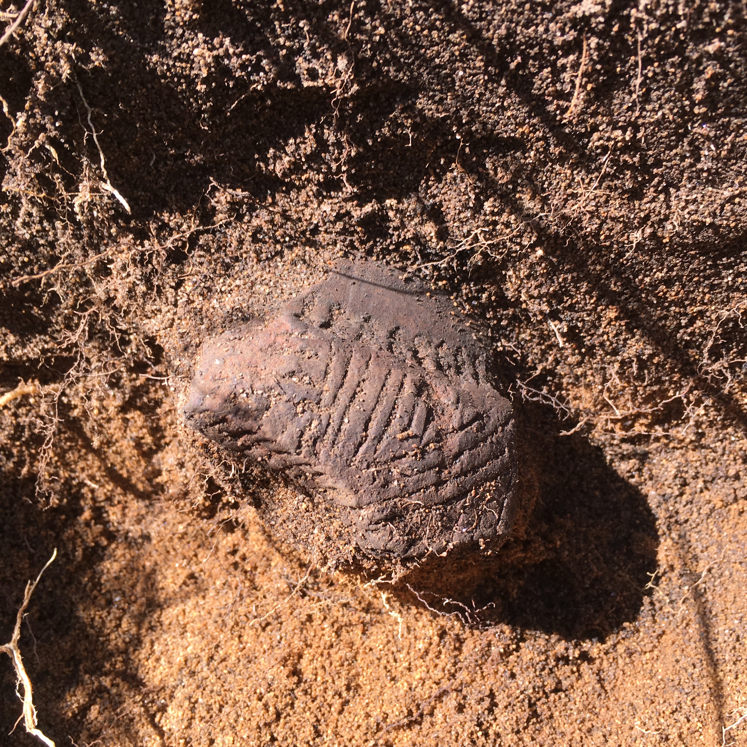 Un site archéologique d&rsquo;une ampleur inespérée