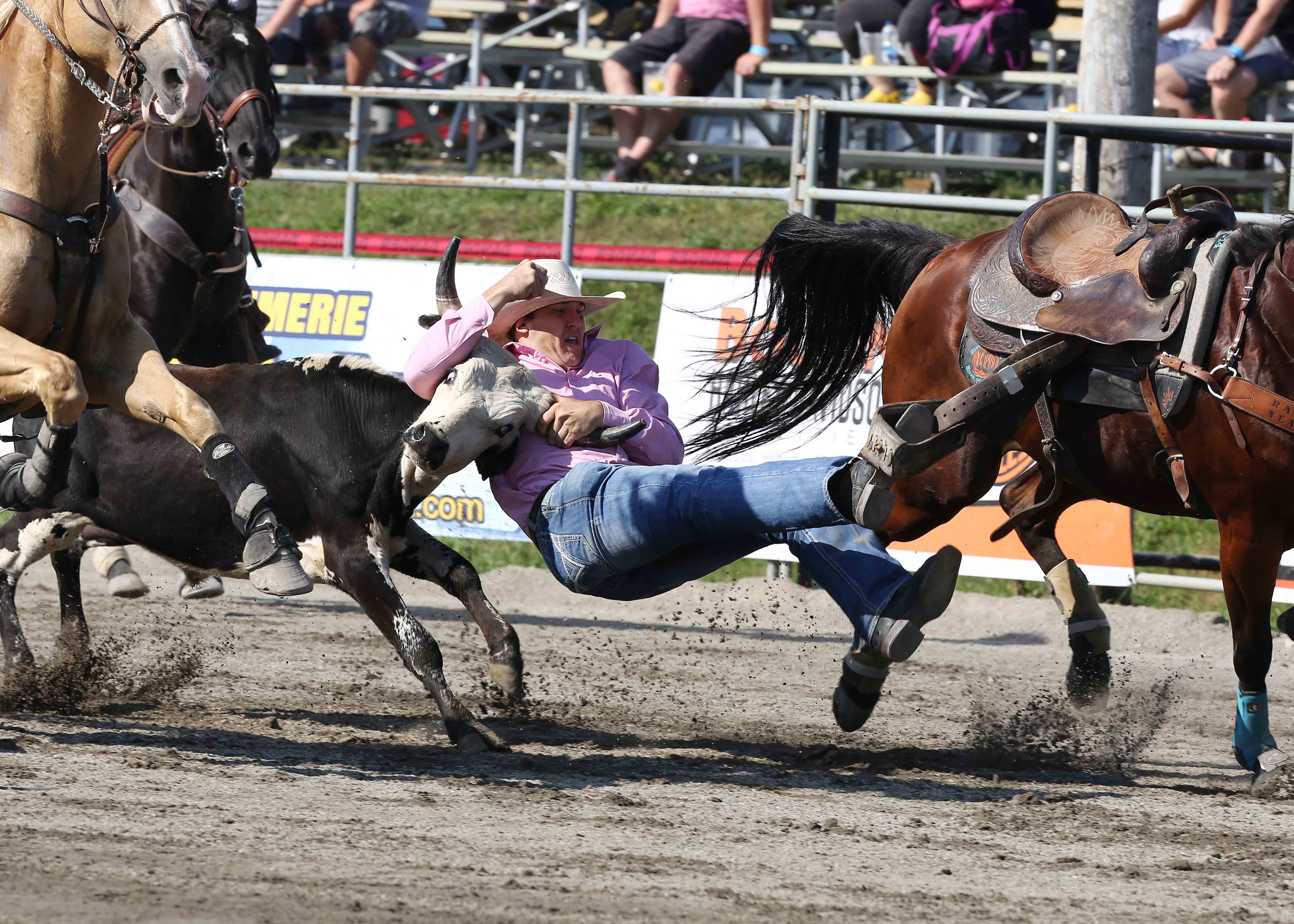 Image illustrant l'article: L'adrénaline sur deux roues à 295 km/h