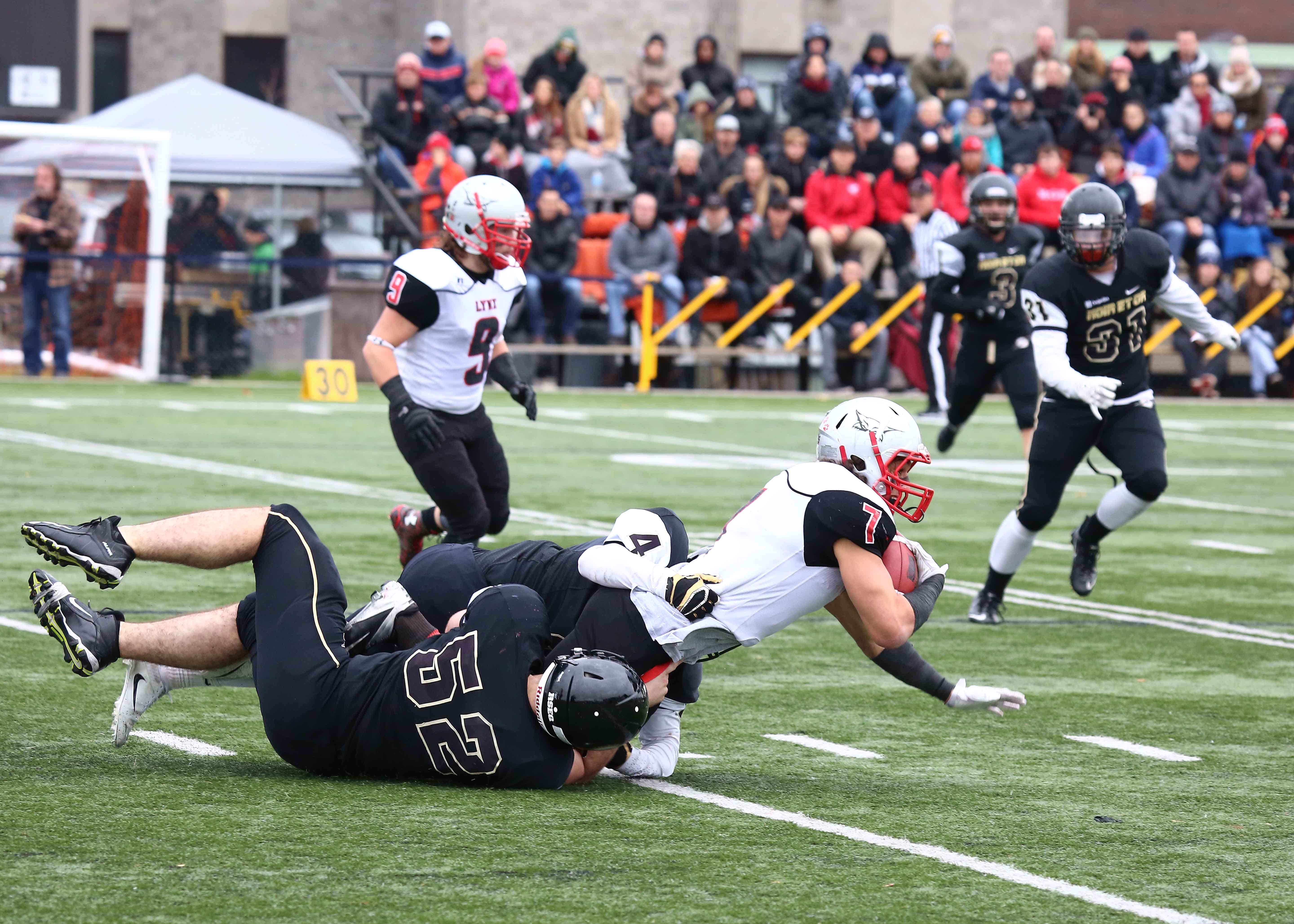 Le Noir et Or dompte les Lynx