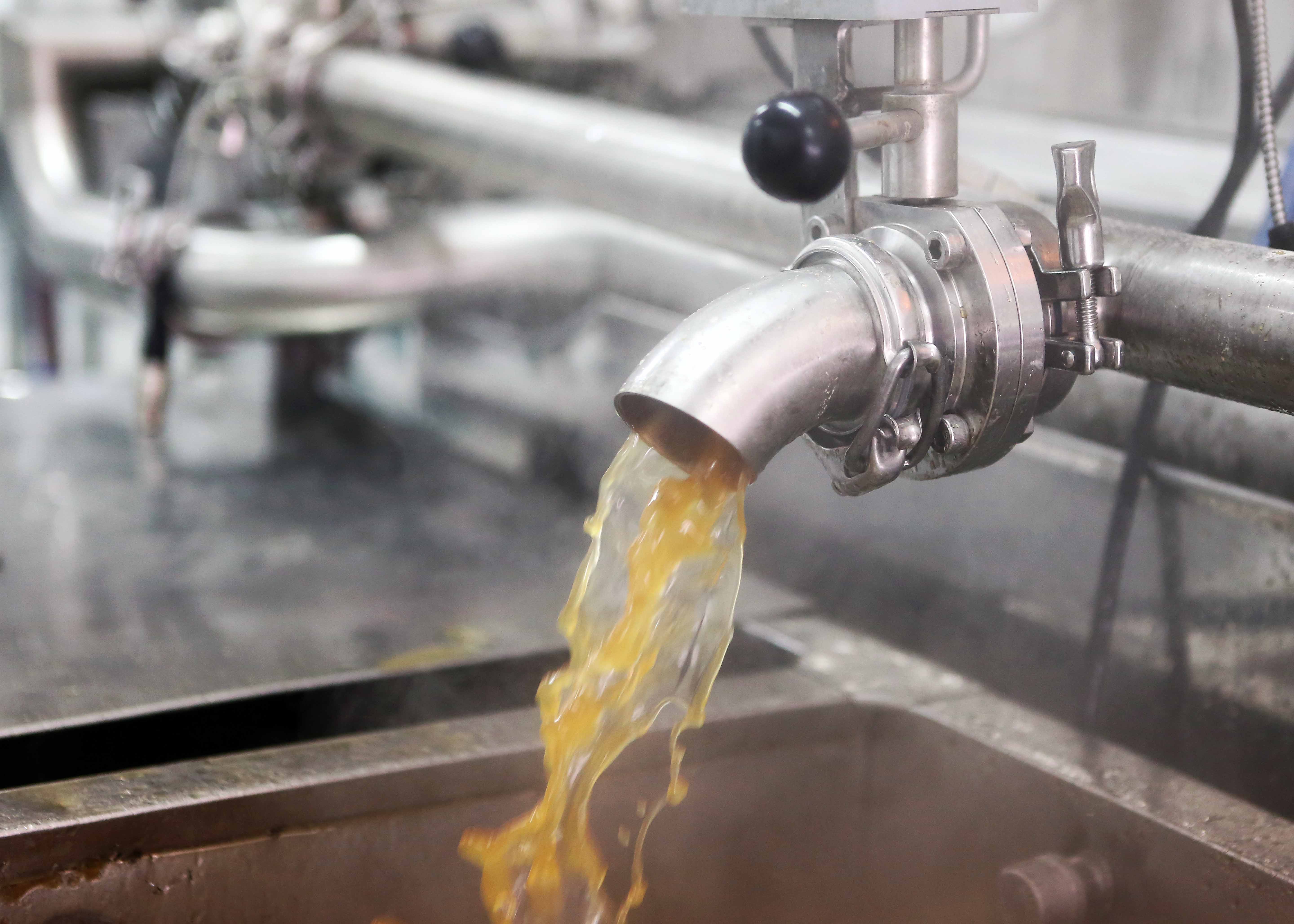 Image illustrant l'article: L'or blond coule à flot dans le Suroît