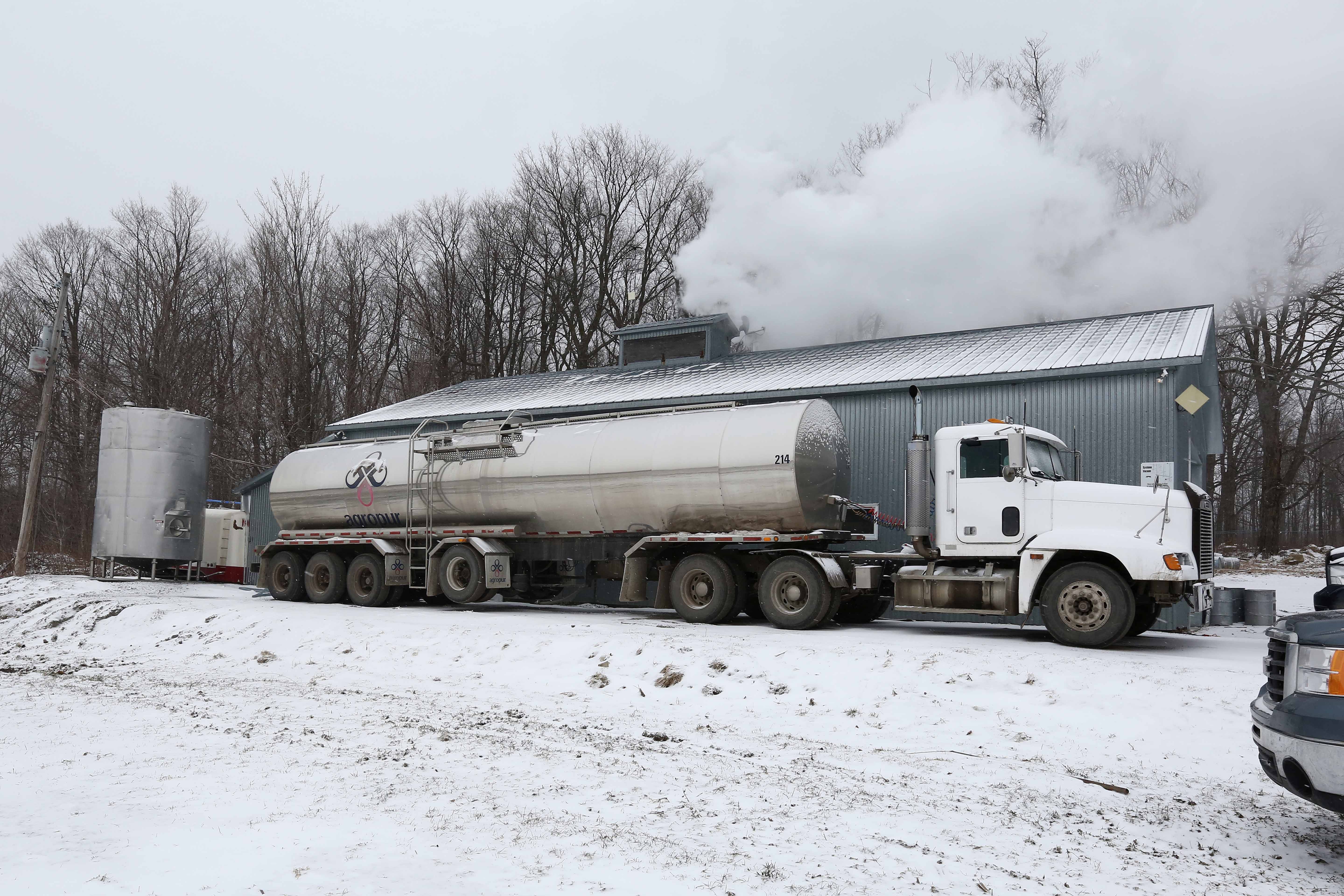 Image illustrant l'article: L'eau d'érable puisée à 50 gallons par minute