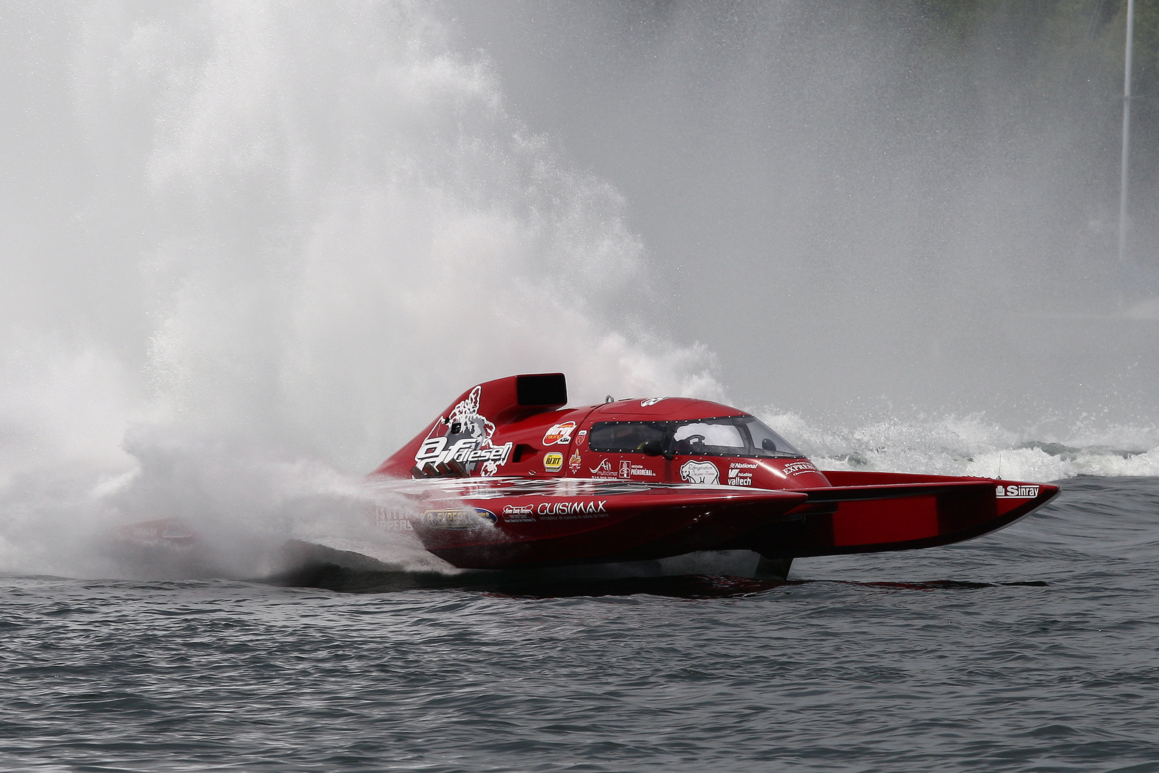 Image illustrant l'article: Le retour d'un grand champion