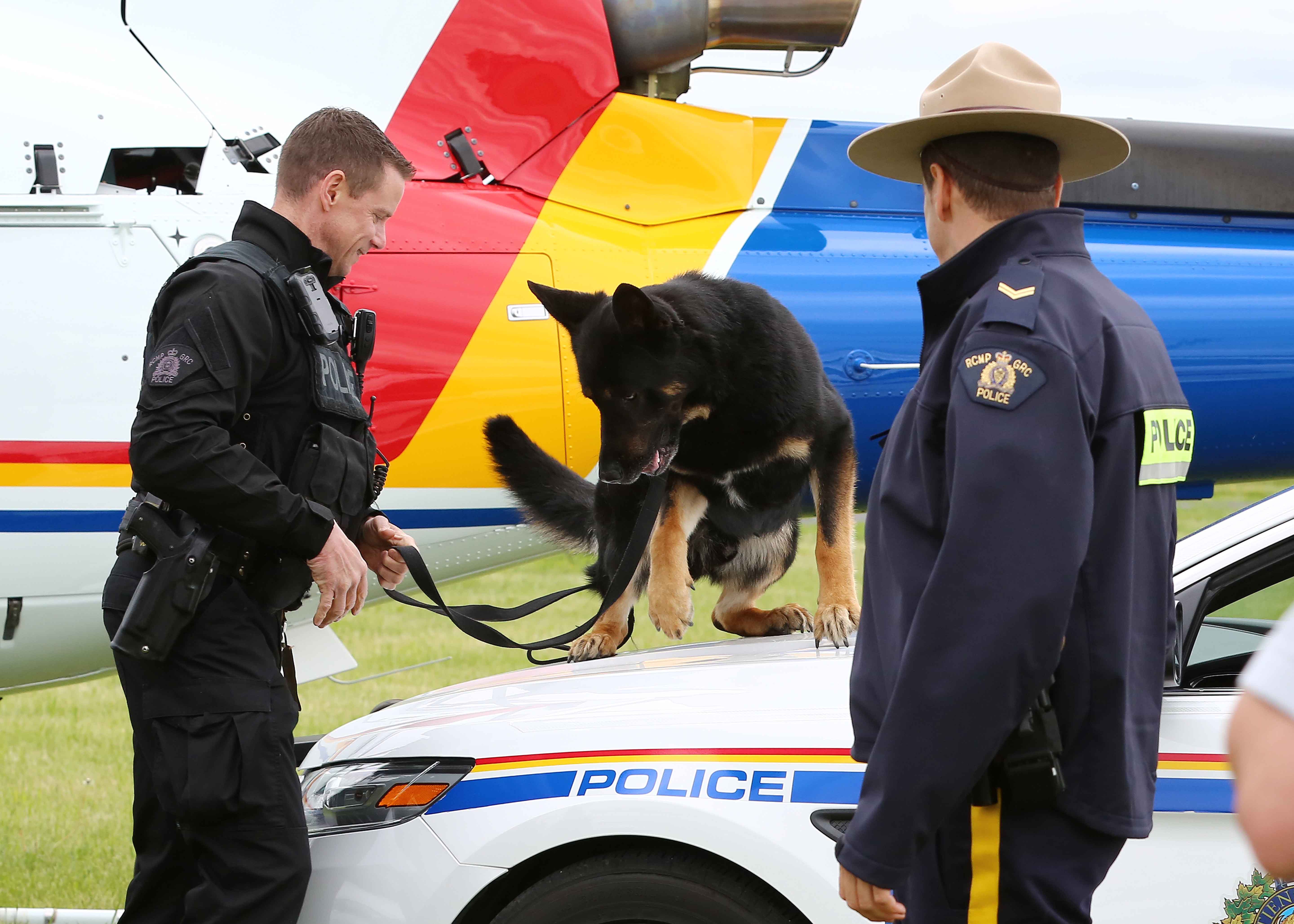 Image illustrant l'article: Tabac prohibé, immigrants illégaux et traite humaine dans la mire
