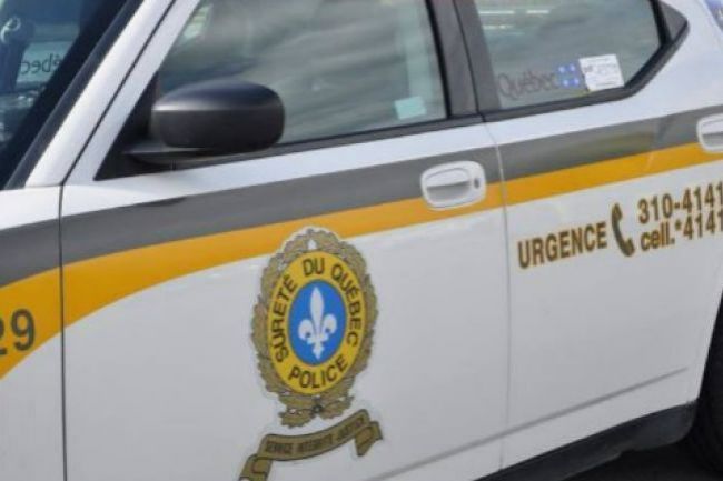 Près de 2250 grammes de cannabis dans leur Cadillac