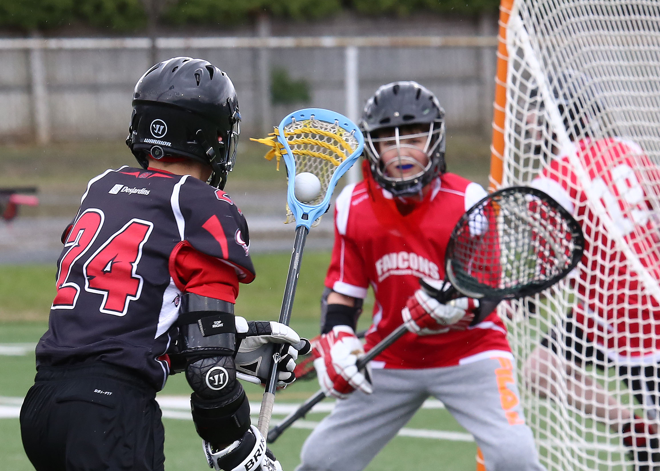 Image illustrant l'article: Bon départ pour les Broncos benjamins