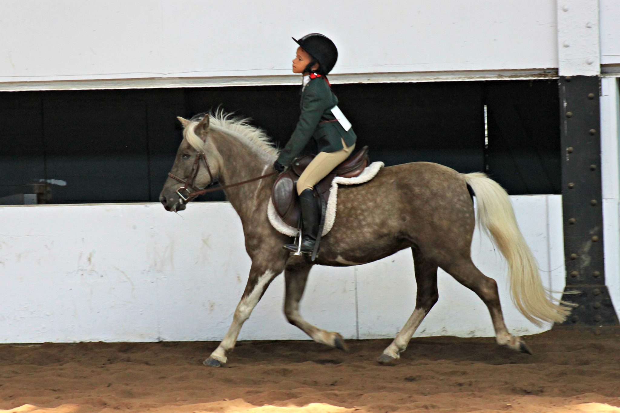 CVHC Closes Show Season with Successful Turnout