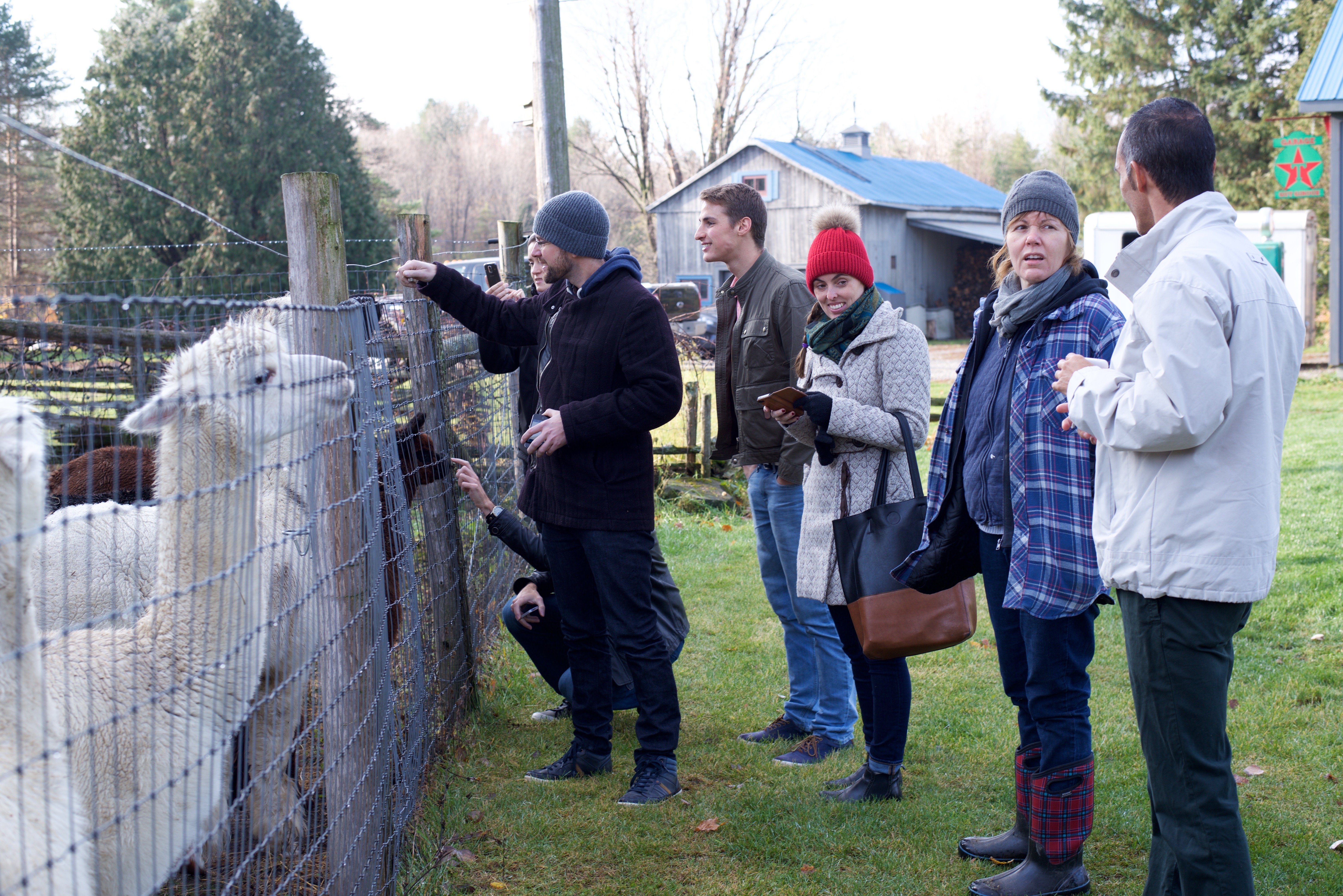 Pilot project brings young professionals to the Haut-Saint-Laurent