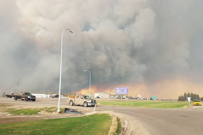 Image illustrant l'article: From the Ashes