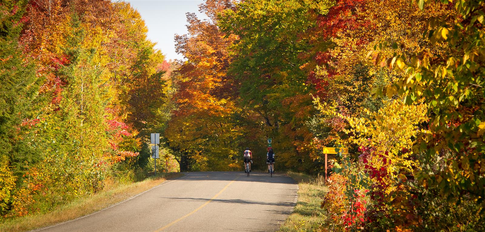 Image illustrant l'article: And Here Comes Fall