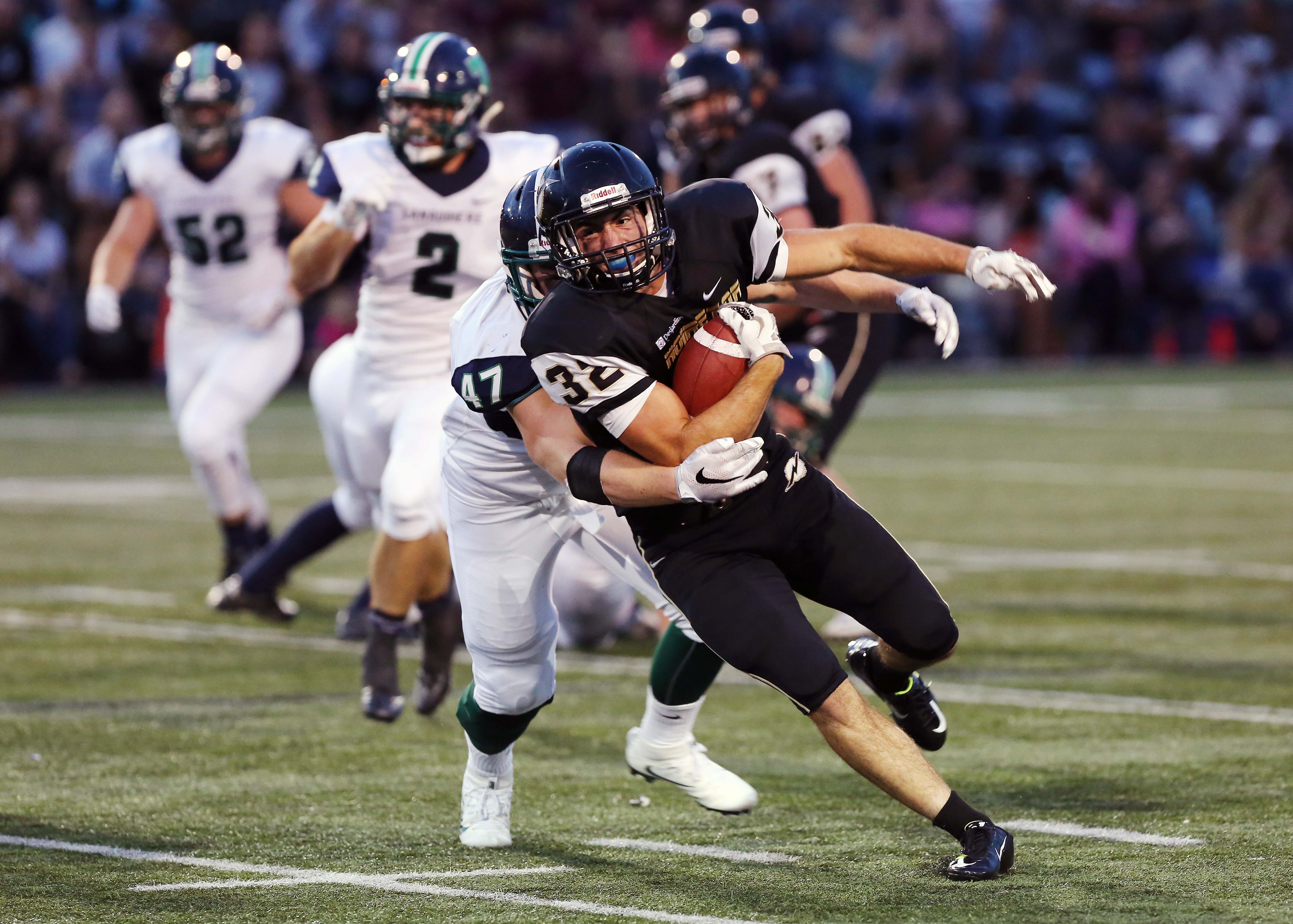 Les Lynx sur la route du Noir et Or