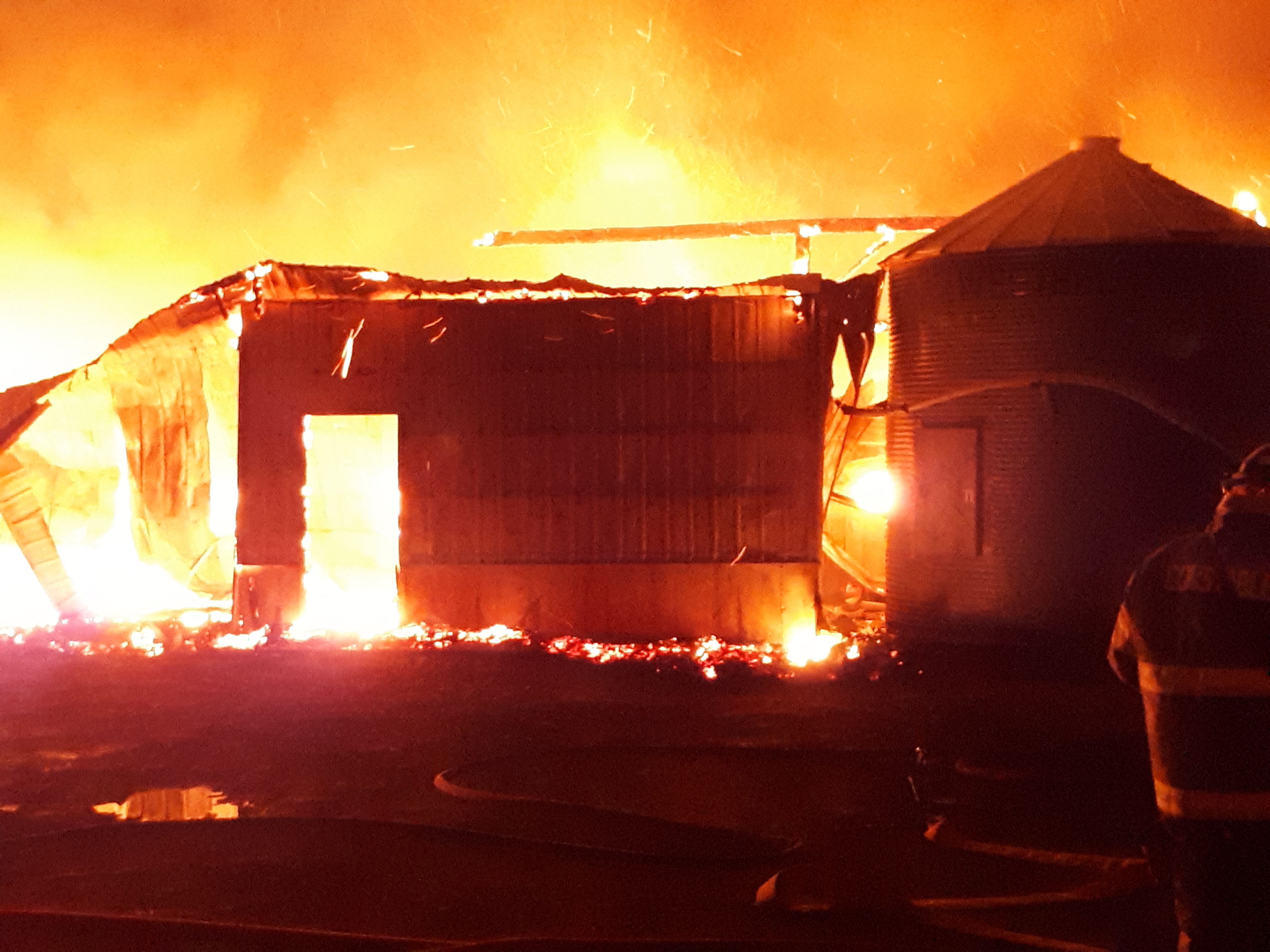 Over 4000 chickens perish in a fire in Elgin