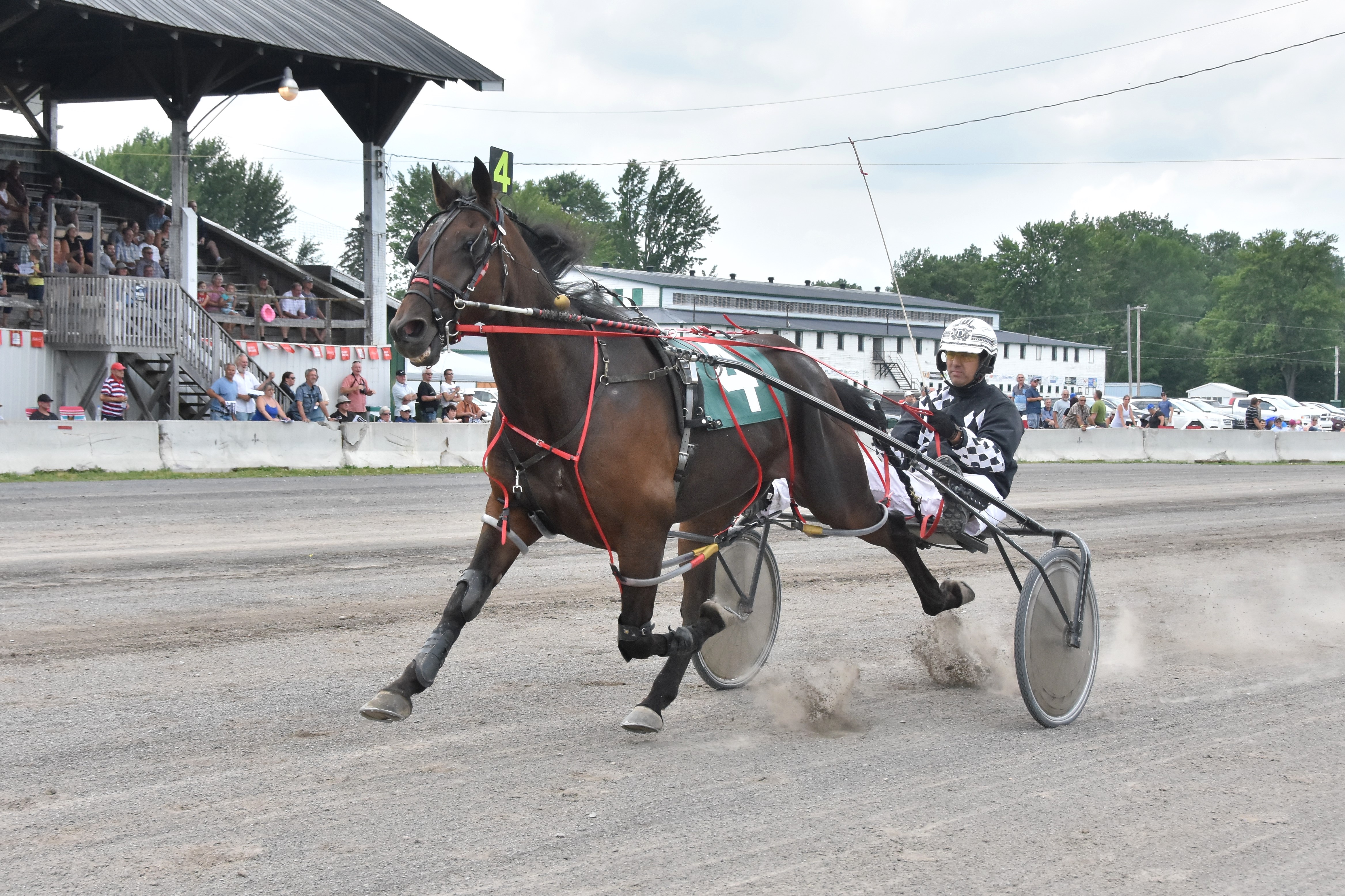 Un beau programme de courses sous harnais à Ormstown