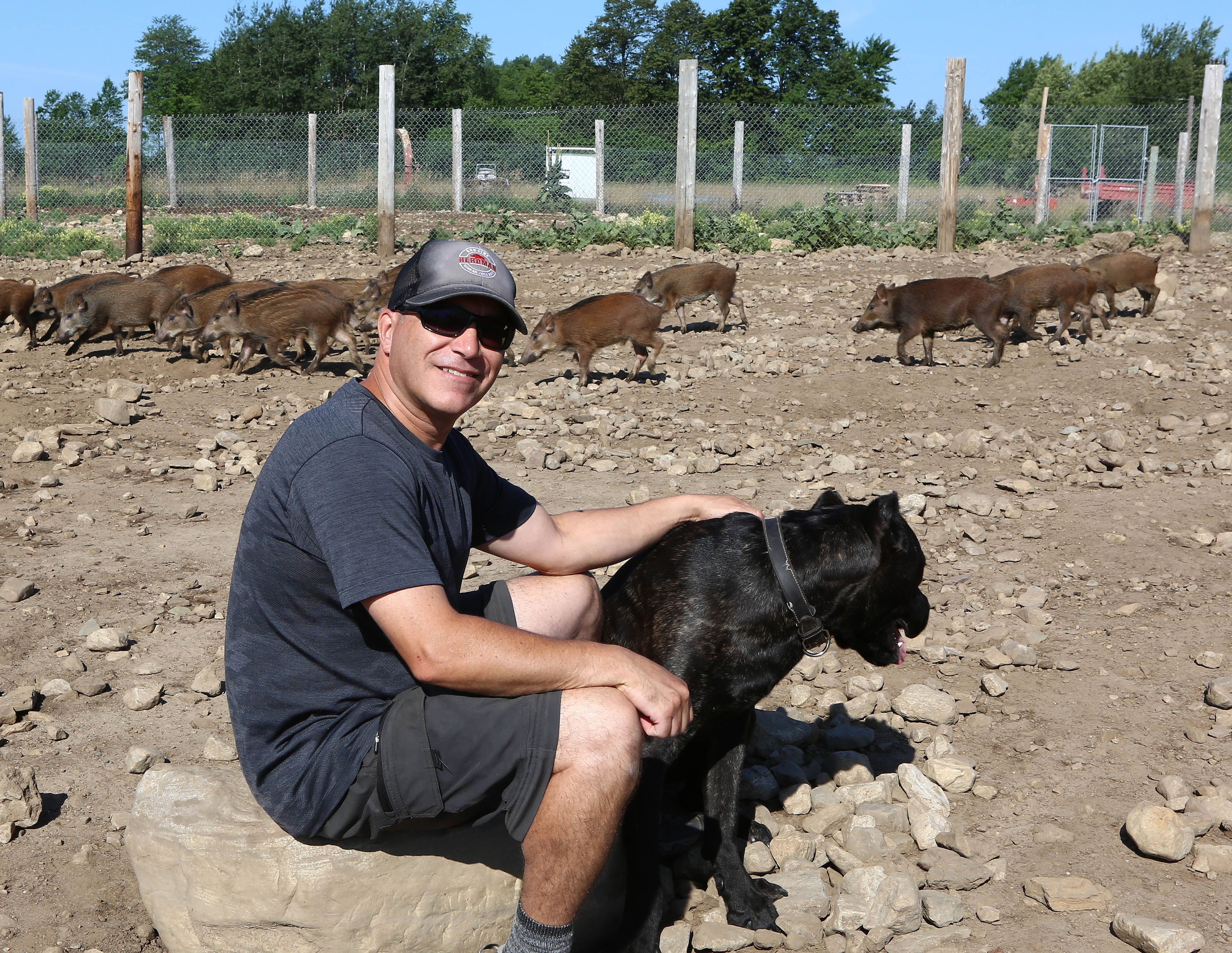 Épicurien et éleveur de sangliers à Hinchinbrooke