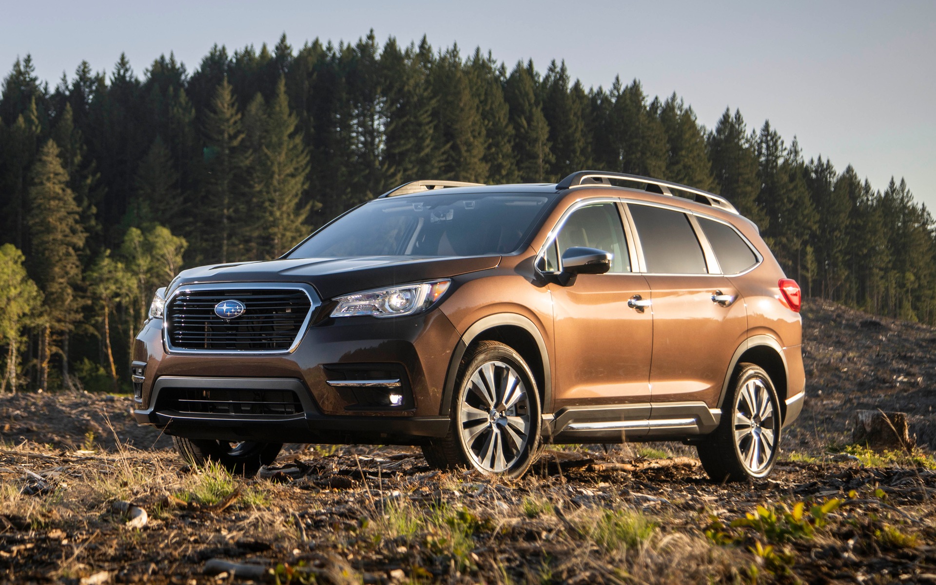 Subaru Ascent 2019 : beaucoup plus sérieux