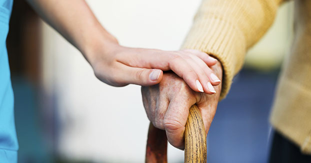 Image illustrant l'article: New project to link seniors with area students