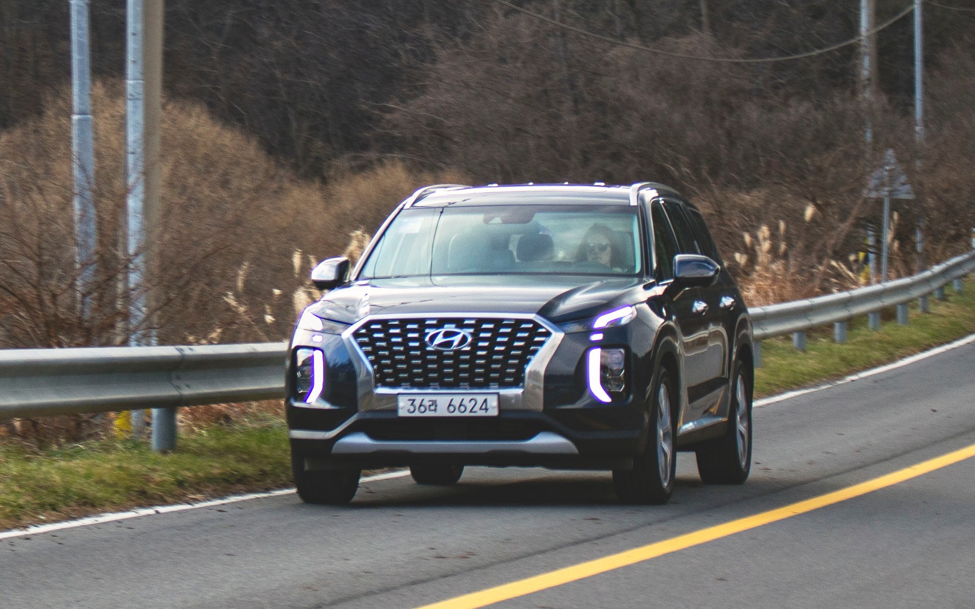 Image illustrant l'article: Hyundai Palisade 2020 : bien entraîné et prêt à se battre
