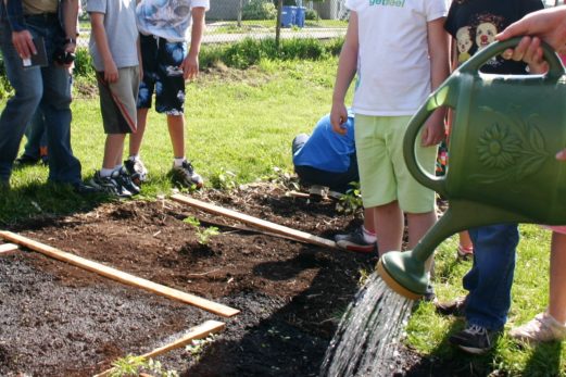 Trois projets scolaires financés par la Fondation Monique-Fitz-Back