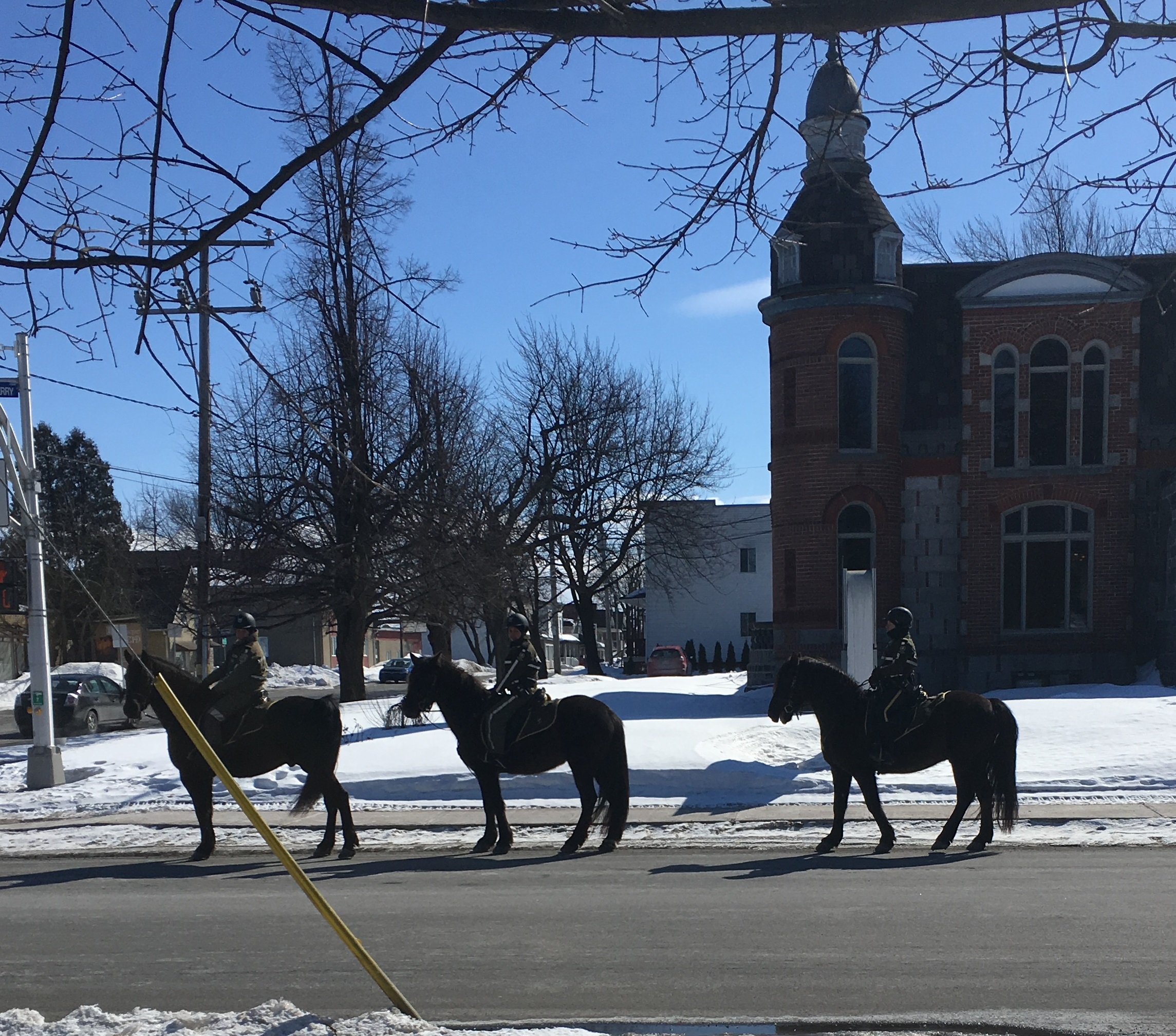 La police montée au centre-ville