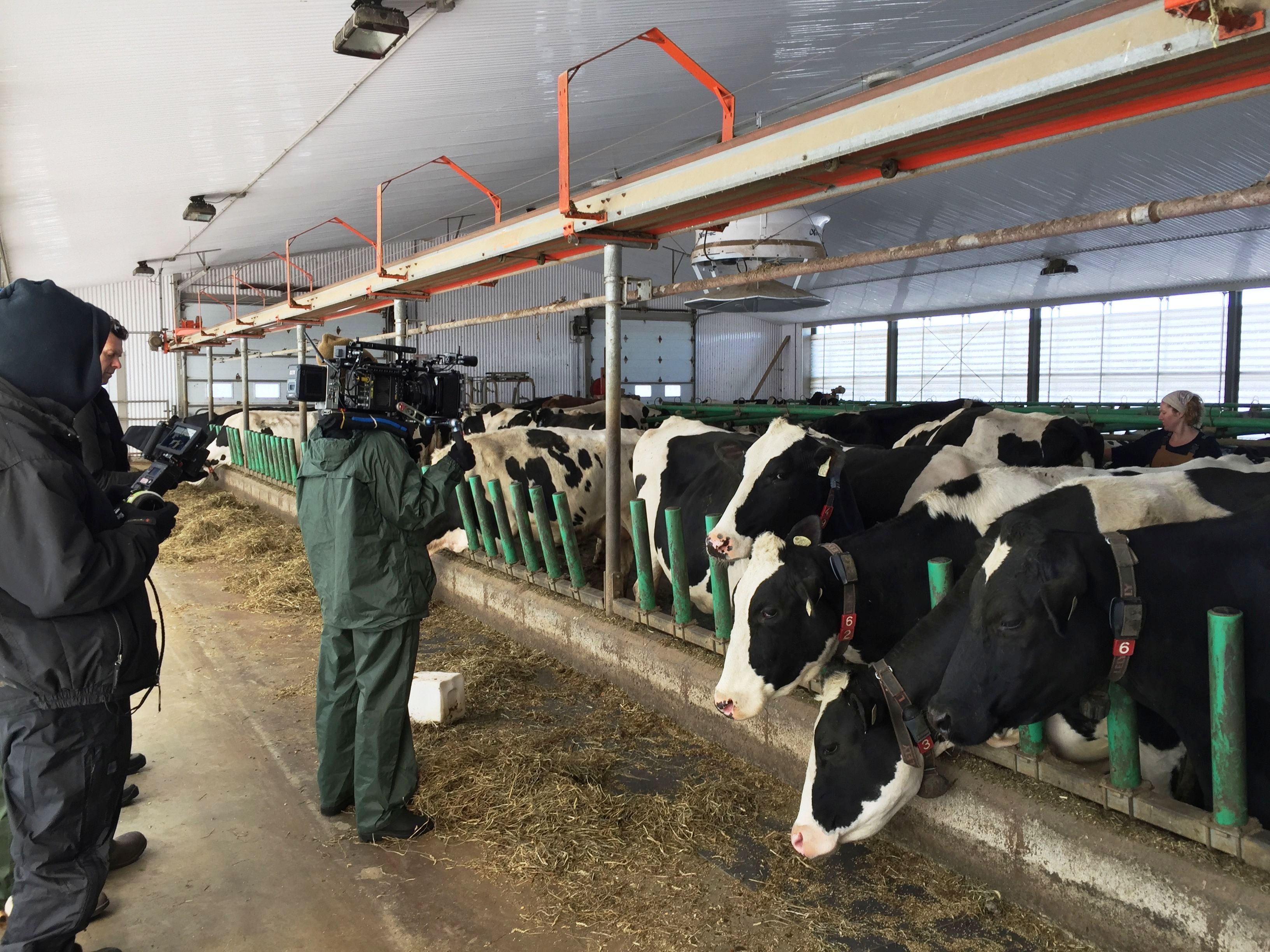 Des producteurs de la région dans une pub des épiciers Metro