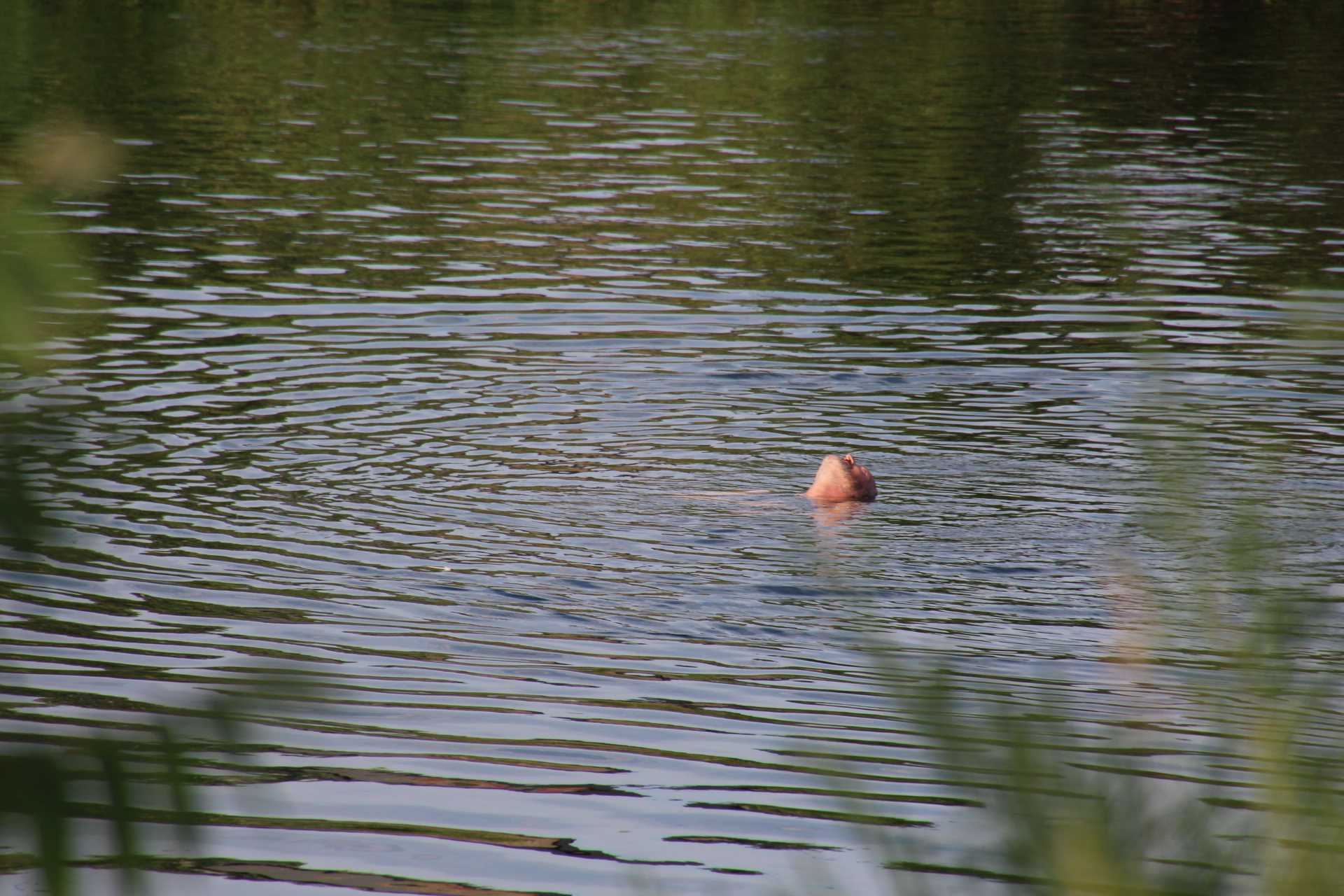 Un homme désespéré secouru par les policiers