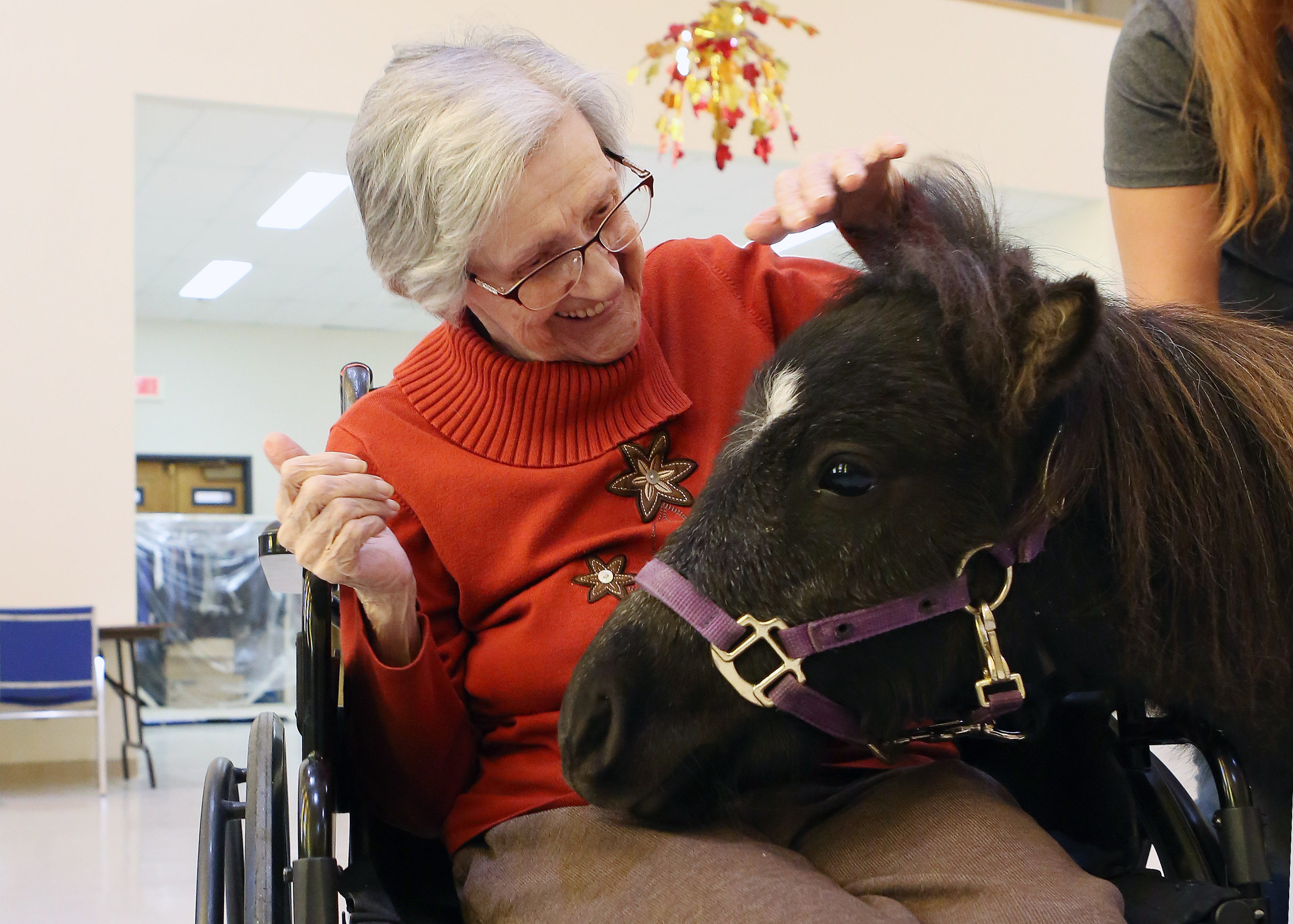 Croquette de bonheur