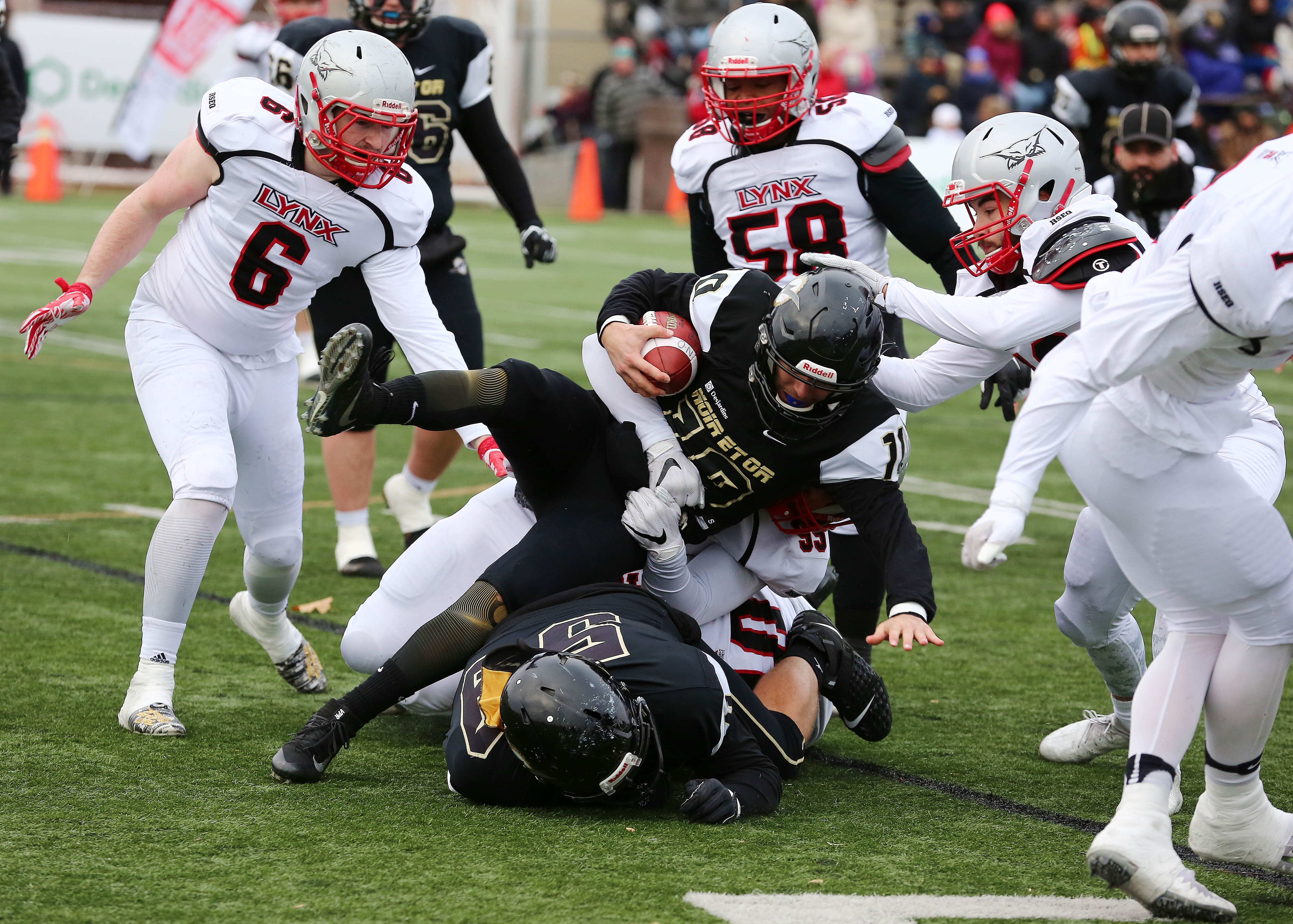 Image illustrant l'article: Le Noir et Or vaincu par les coriaces Lynx