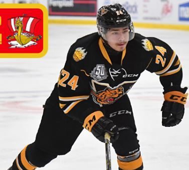 Image illustrant l'article: Un dernier match pour Enrico Di Cesare à l’aréna Salaberry